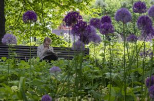 Температури до 21 степен денеска, од утре врнежливо