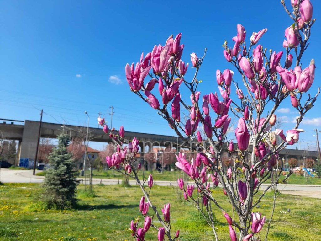 Пролетно време денес – сонце и температури до 20 степени