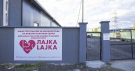 Анима Мунди смета дека разрешувањето на директорката на Лајка е нетранспарентно