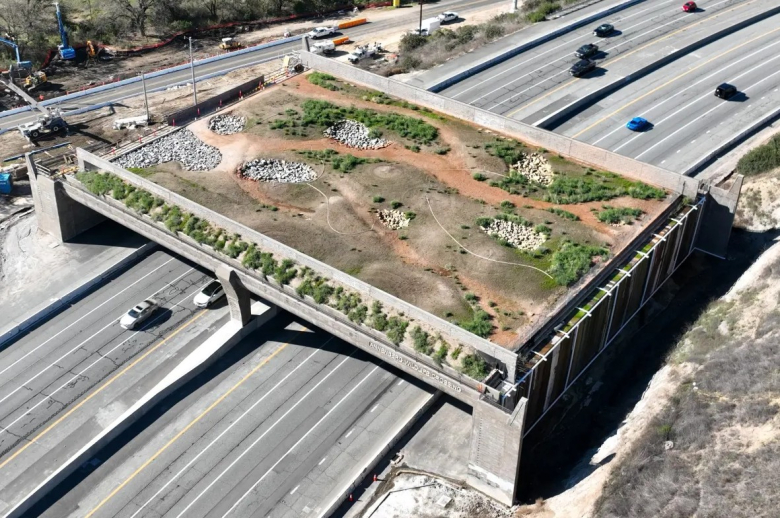 Њусом никако да го доврши мостот за пеперутки од 114 милиони долари