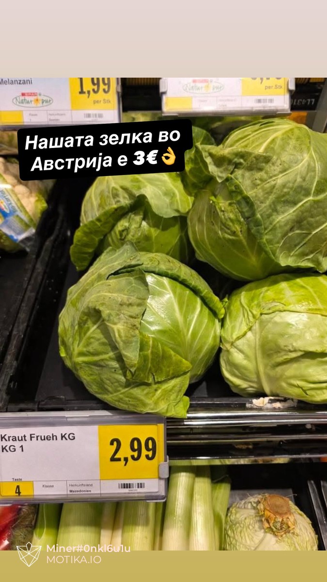 Македонската зелка во Австрија е 3 евра