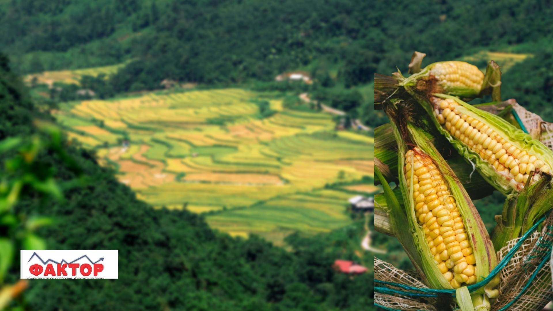 Владата им даде земјиште на американски компании кои произведуваат ГМО храна