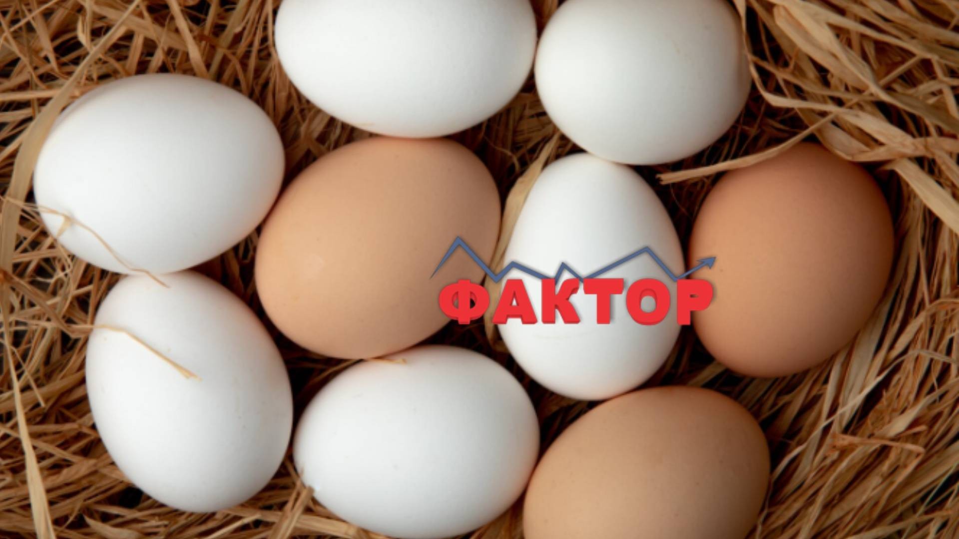 Труење со заостанати велигденски јајца во Кавадарци