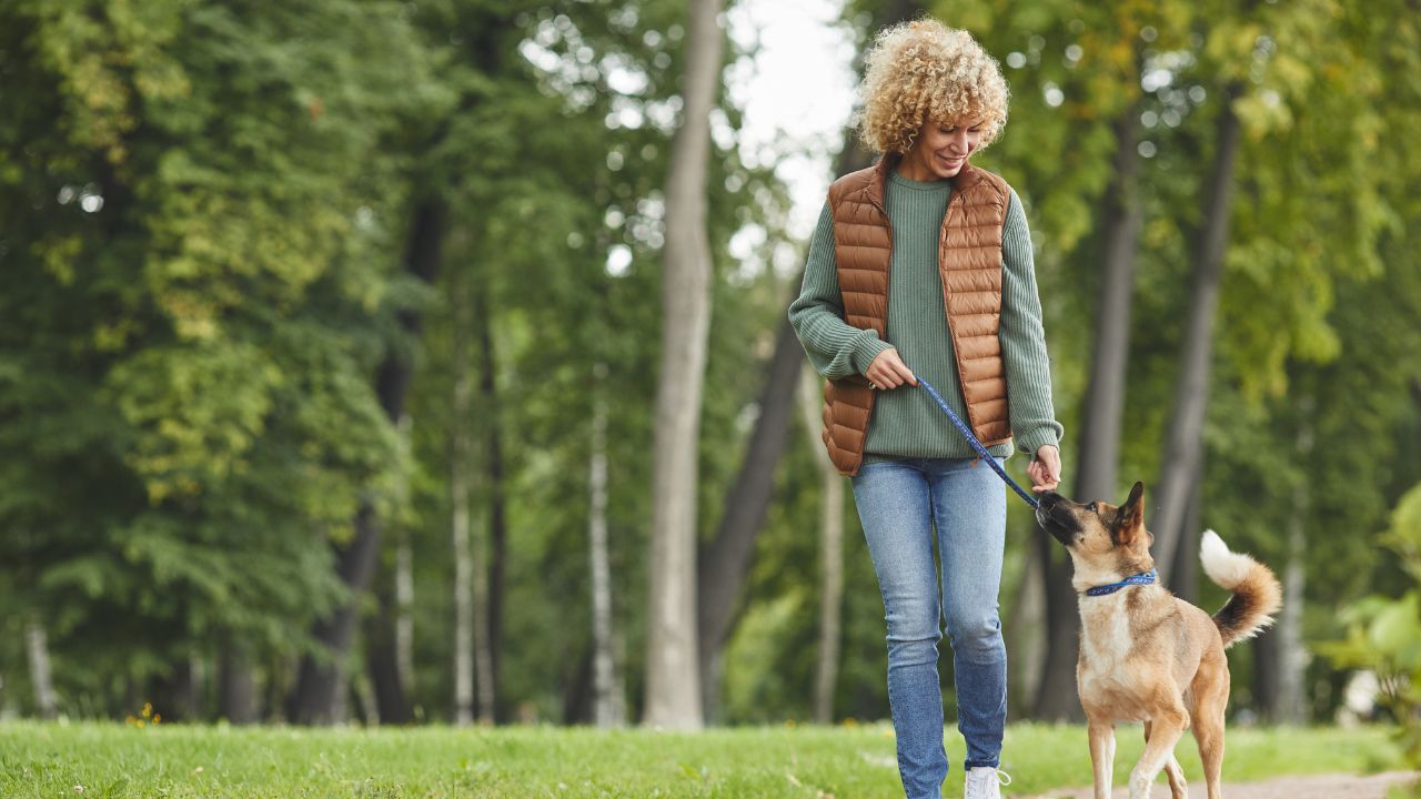 Искористете го УБАВОТО ВРЕМЕ и започнете со ПЕШАЧЕЊЕ!