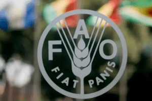 ОН: Кризата во Ормускиот мореуз може да предизвика глобална катастрофа во земјоделството