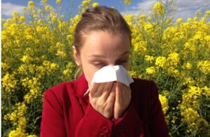 Кивање, солзење на очите и лош сон – како да се прекине маѓепсаниот круг на АЛЕРГИЈАТА?