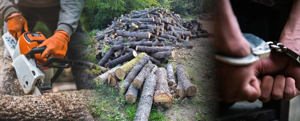 ФИЛМСКО БЕГСТВО, НО СЕПАК ЗАД РЕШЕТКИ: дрвократци нападнале полицајци со моторна пила кога биле фатени како сечат дрва