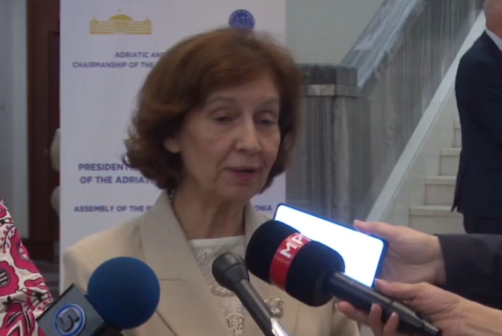 Давкова: Техничката влада е неуставна, потребен е дијалог