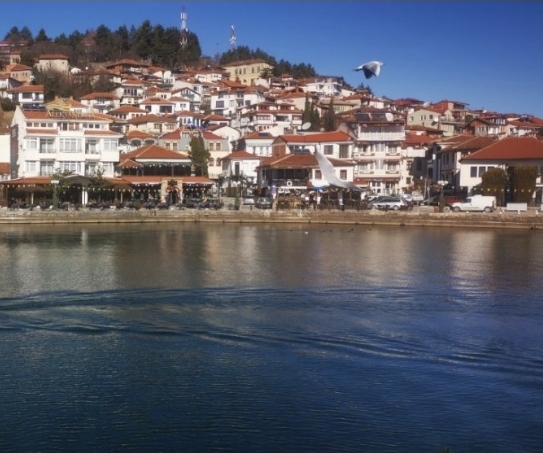 (ВИДЕО) Параглајдерист за малку ќе повредеше мајка и дете на пешачката патека кај Студенчишта