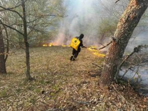 Пожари во Ваксинце и Арбанашко, опожарени околу дваесетина хектари шума