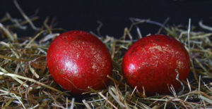 Кавадарчански се затруле со бајати велгиднески јајца