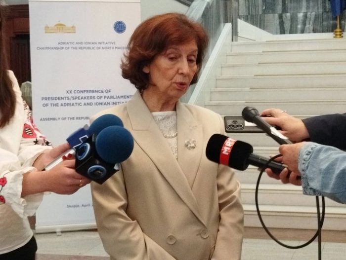 СИЉАНОВСКА: Поддршка за укинување на техничката влада, двојно државјанство не треба да има ни претседателот, ниту министрите