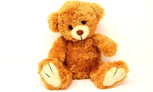 (ФОТО)  „Плишано пријателче“ – Од ткаенина до симбол на детството: Како мечето стана омилена играчка за многу деца