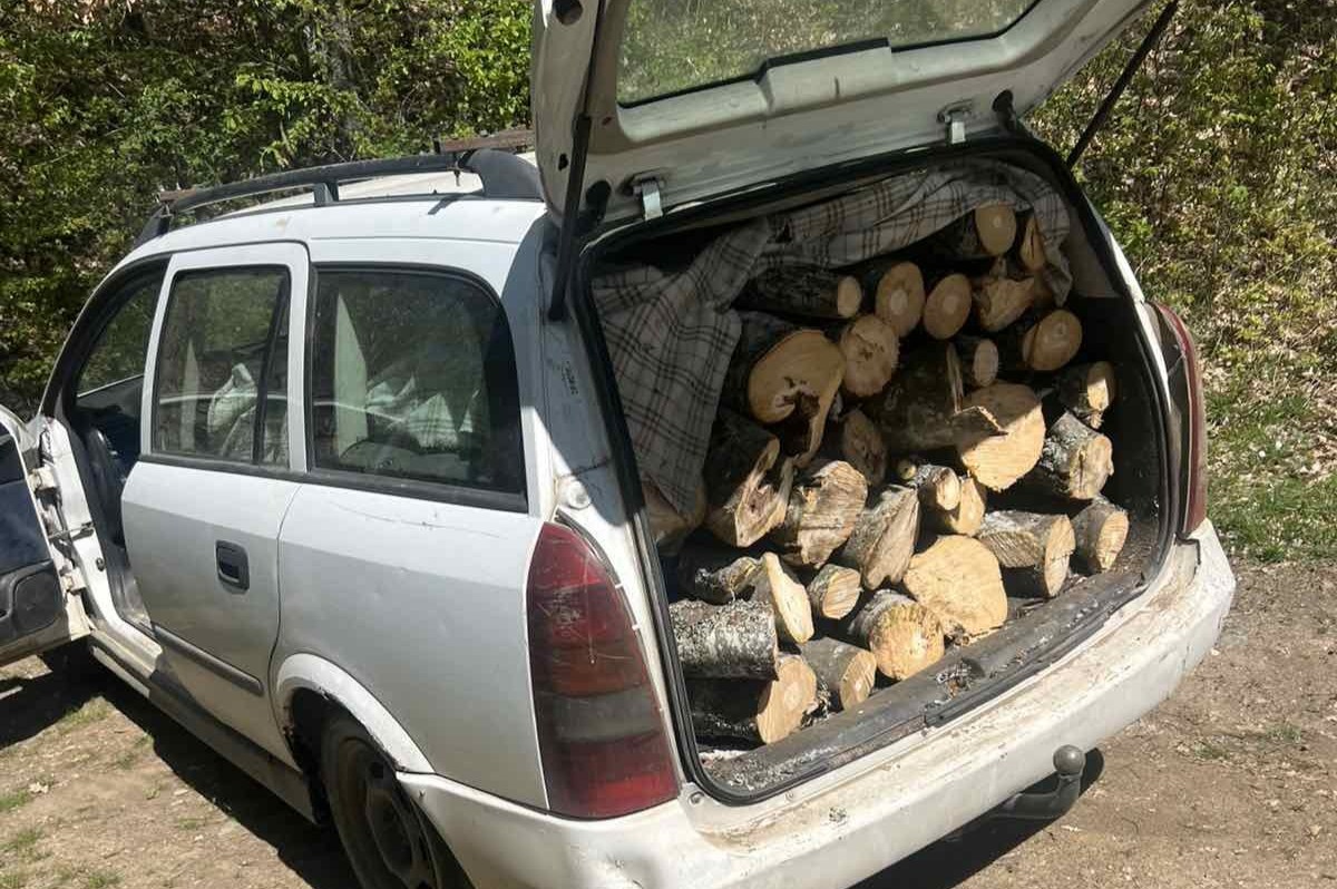 Уапсен дрвокрадец без возачка дозвола