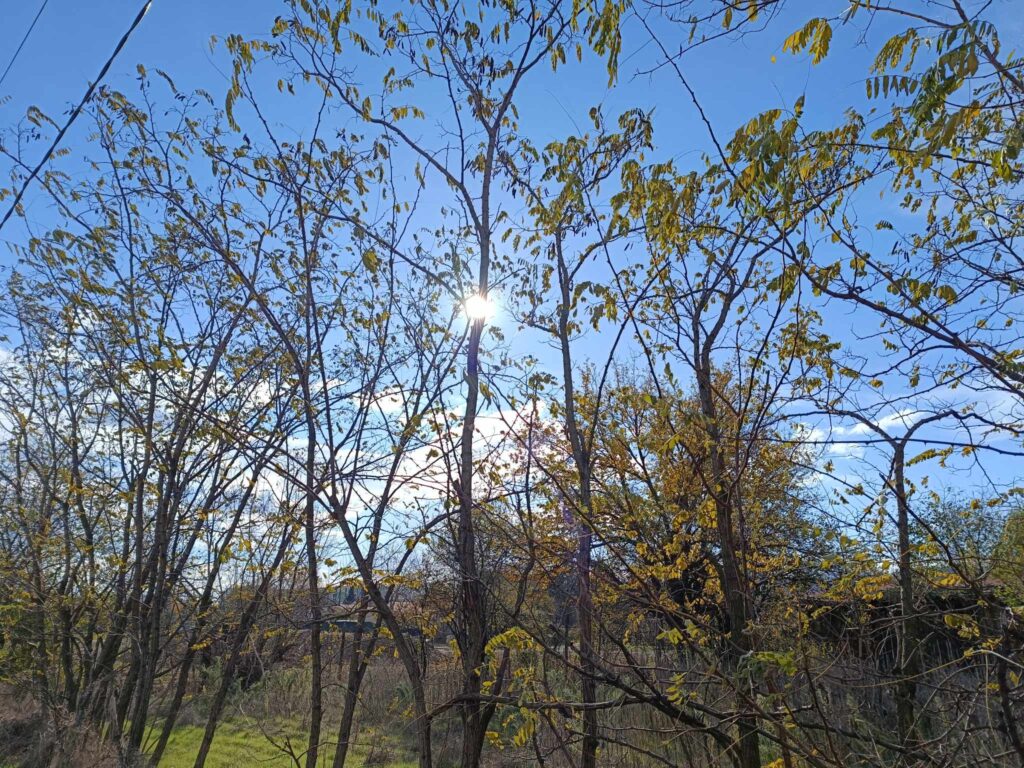 Сончево со мала до умерена локална облачност, температурата до 23 степени