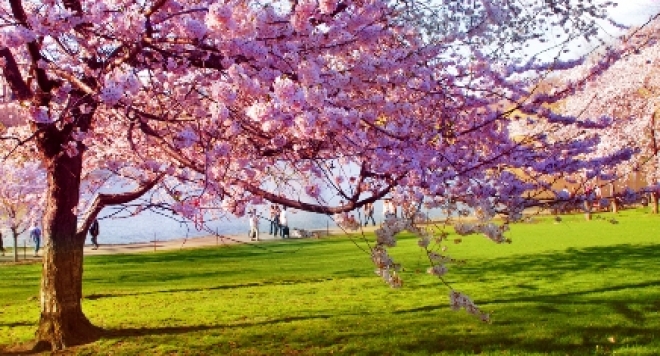 УХМР: Променливо денеска со повремен дожд и температура до 23 степени, за викендот стабилно, од понеделник пак дожд и северен ветер