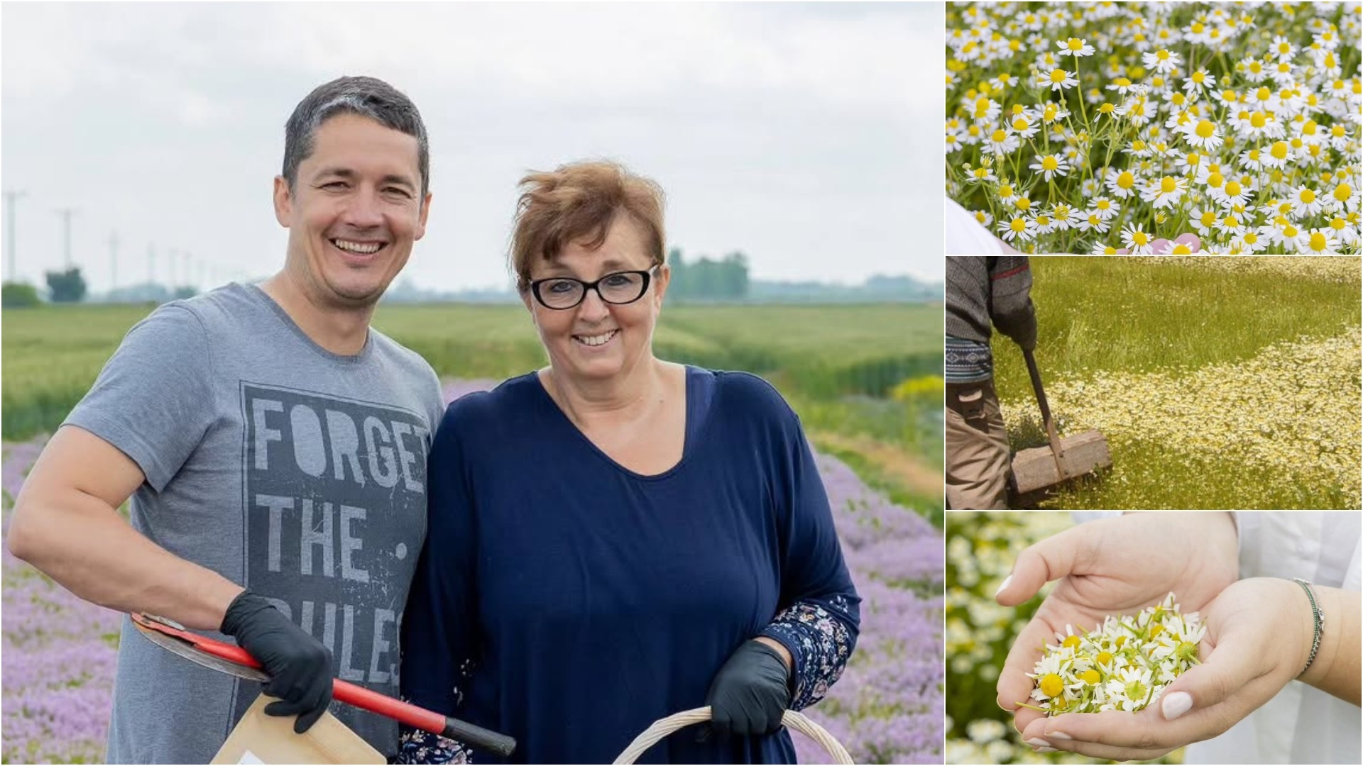 Започнала со рачно берење камилица – денес живее од тоа: Мира изгради семеен бизнис од лековити билки