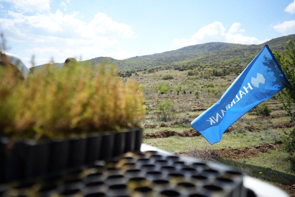 Со нови 215.000 садници, Халкбанк и оваа сезона ја продолжува иницијативата „Еден милион садници за 5 години“