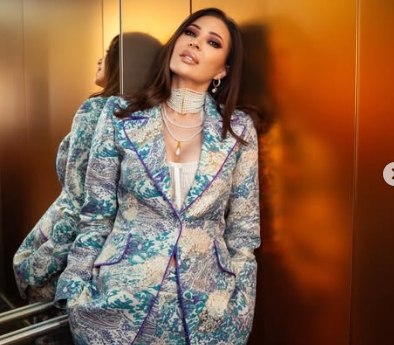 Ова е вистината за образованието на Цеца Ражнатовиќ