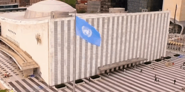 Скандал во ОН: Хрватка ги оштетила за 750.000 долари