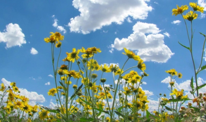 Најстудено изутринава во Берово минус еден степен, највисока температура во Скопје и Велес – осум степени