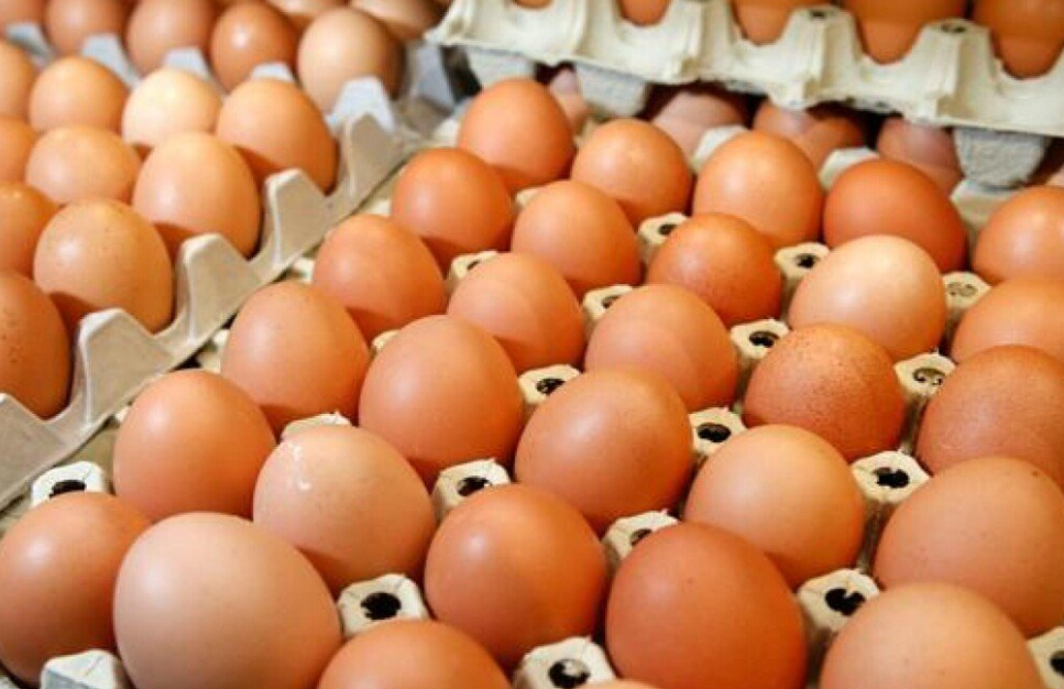 Спречен обид да се прошверцуваат 40 тони небезбедни јајца од Србија