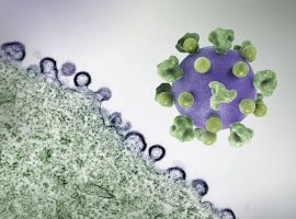 Лани биле евидентирани 41 случај на ХИВ/СИДА, најпогодена е популацијата од 20 до 39 години