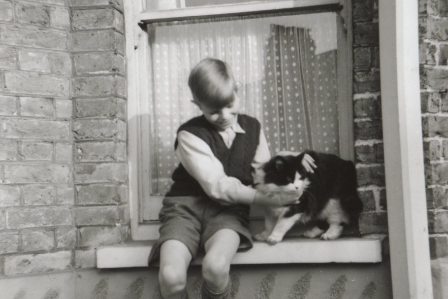 Од 2027 година обожавателите ќе може да го посетат домот од детството на Дејвид Боуви