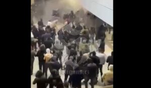 Жестока тепачка меѓу „Делии“ и полицијата во „Белградска арена“ (ВИДЕО)