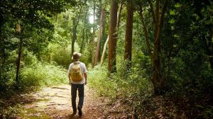 Природа, шума и свеж воздух: Создаваме здрави навики со Виталиа