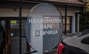 Кривична за директорката на НП „Галичица“ за дозволени градежни активности во заштитен појас