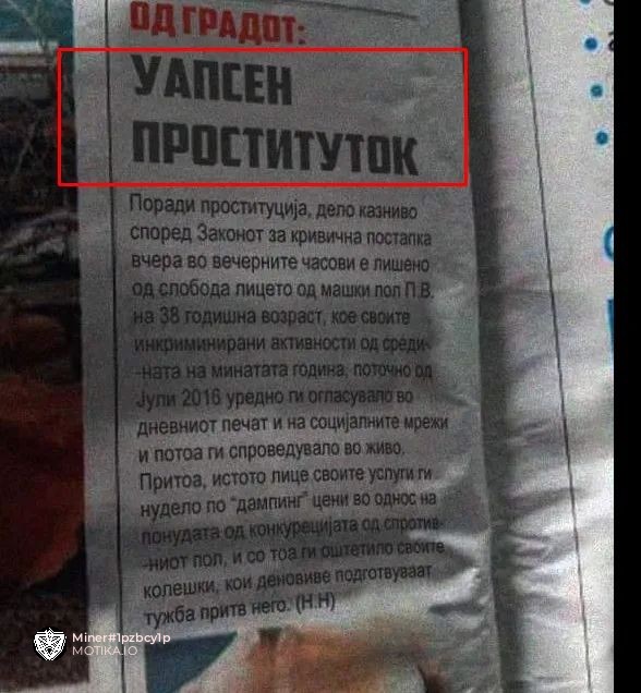 Како е машки род од проститутка?