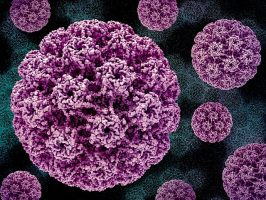 Само една третина од жените биле опфатени со скринингот за рак на грло на матка