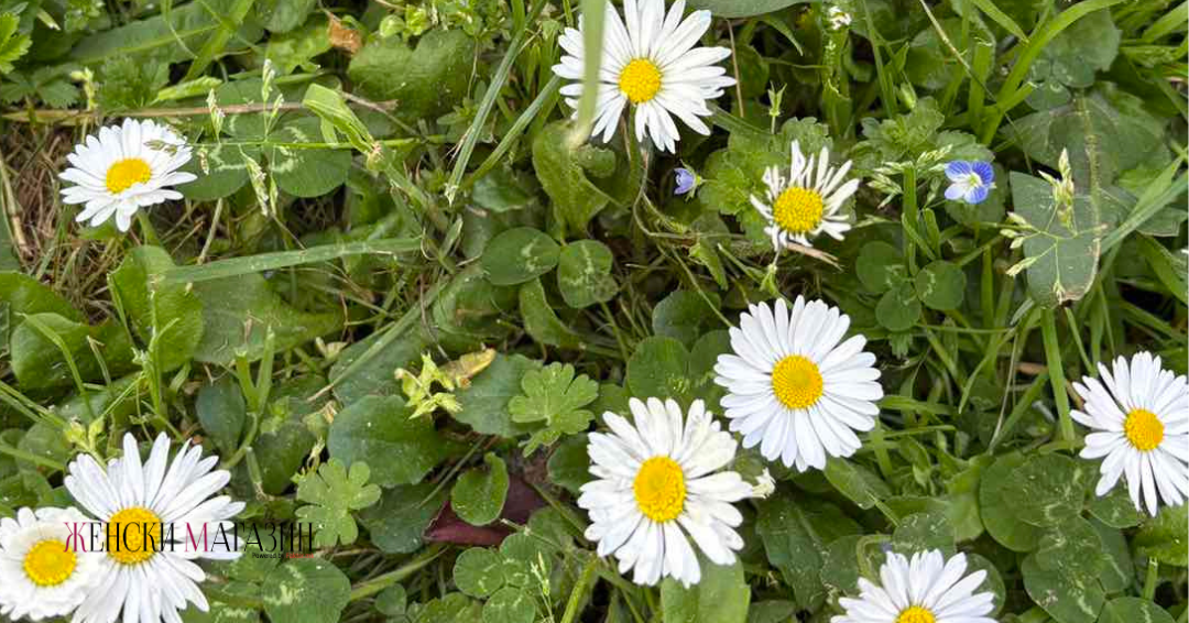 „Сѐ е убаво во април“ – Фотогалерија