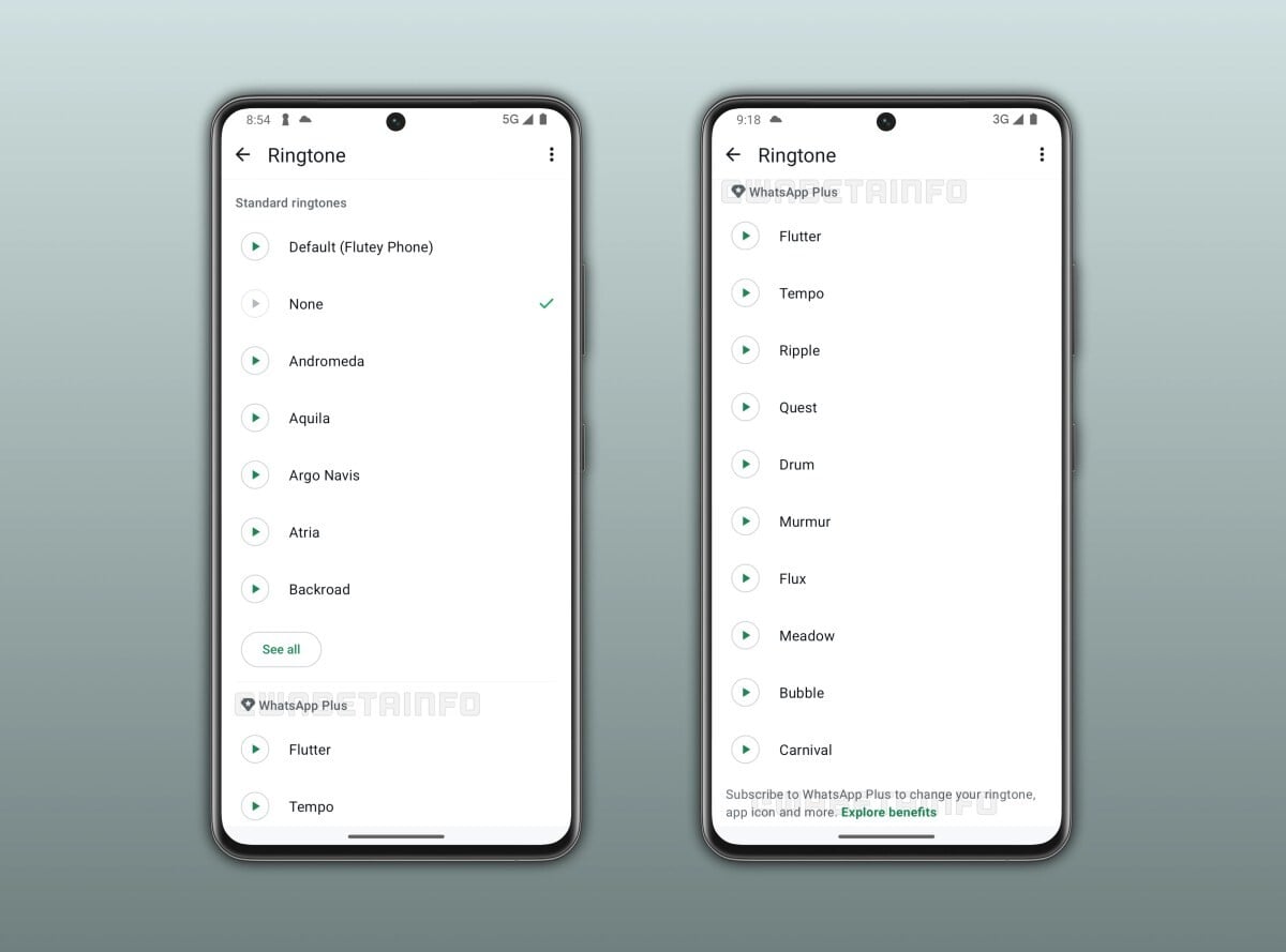 WhatsApp подготвува услуга со претплата: WhatsApp Plus носи премиум функции и персонализација