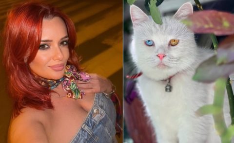 Не го задевај „лавот“ додека дреме, оти може „ѓавол да те земе“: Ноне го ‘рчкаше мачорот во дворот, па за малку што не заврши во мачји хорор! (ВИДЕО)…