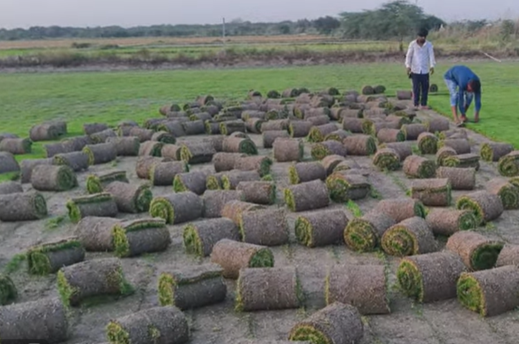 Бизнис кој носи многу профит, а малкумина го прават тоа во Србија
