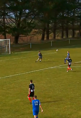 Утка на денот