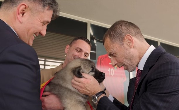 Омерагиќ го изненади Чеферин со шарпланинец