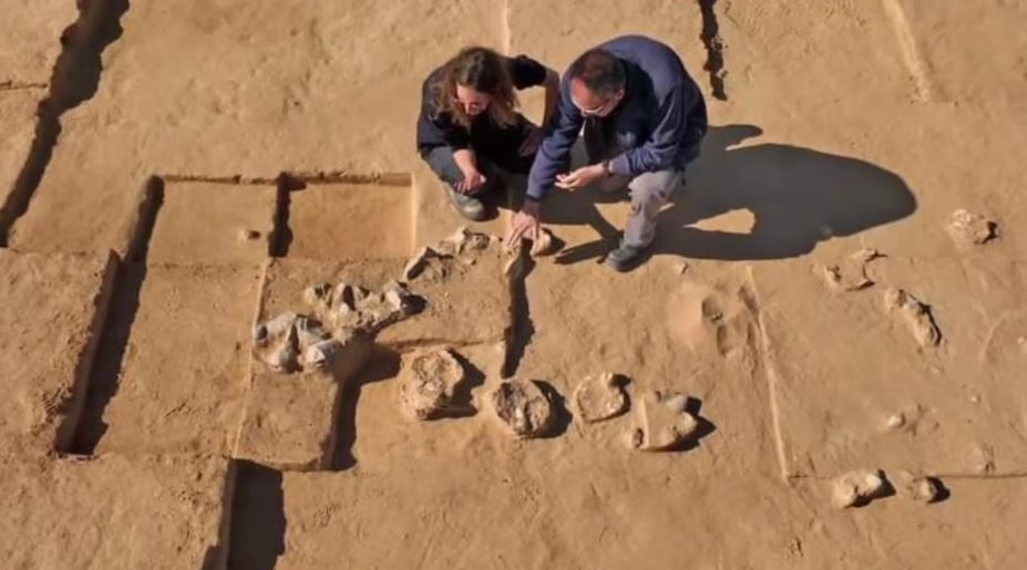 Откриени јајца од ној стари 4.000 години - археолозите велат дека јајцата се намерно собирани