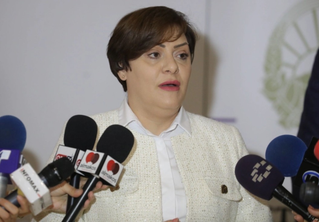 „Нашите  што живеат во Европа гледаат каква е состојбата“: Димитриеска – Кочоска вели ‘големи европски земји, околу десет ќе банкротираат’