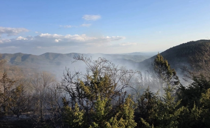 Пожар кај Арбанашко, Старо Нагоричане изгореа сува трева, смрека и дабова шума