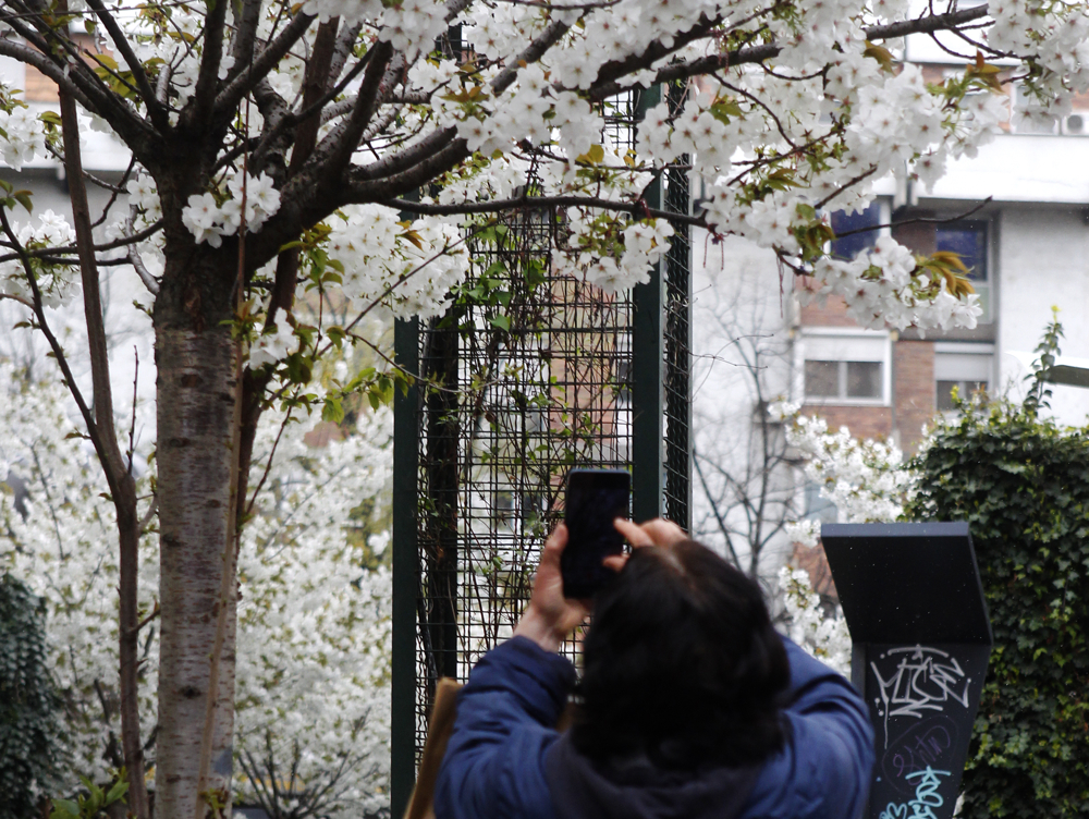 Сончево и топло до 22 степена