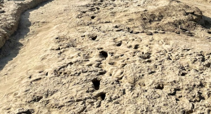 Пронајдени човечки стапалки стари 115.000 години