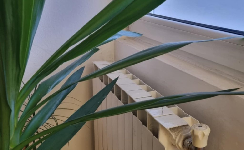 Поради ниските температури, греењето продолжува уште два дена во Скопје