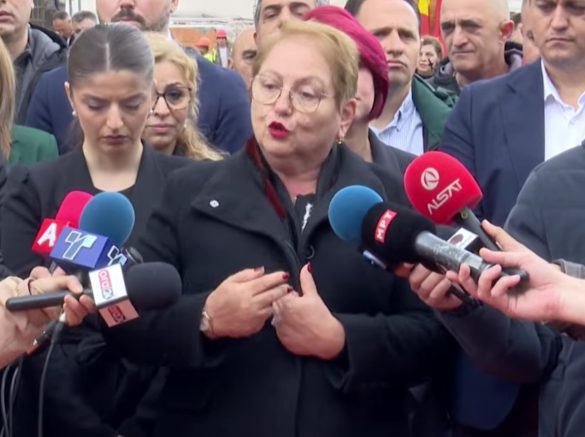 Јаневска: Образовен институт регистиран во обложувалница, работел со два душека и две столчиња