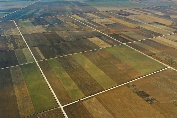 Утре настан: „Зголемување на обемот на консолидација на земјиштето преку партнерства со приватниот сектор”