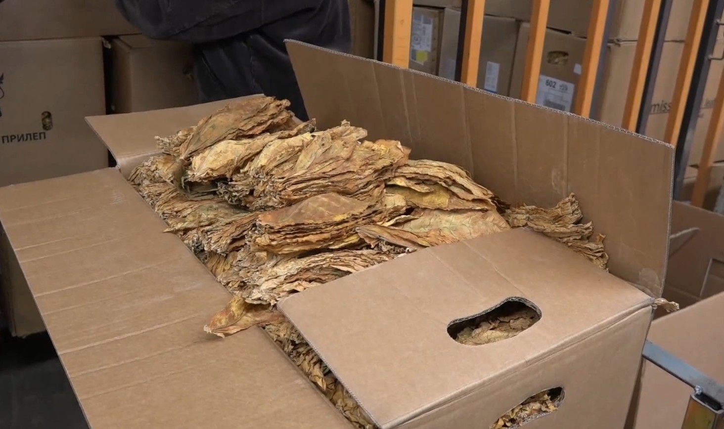 Ристески: Ќе се субвенционираат и оние предадени килограми тутун кои ја надминуваат количината од договорот