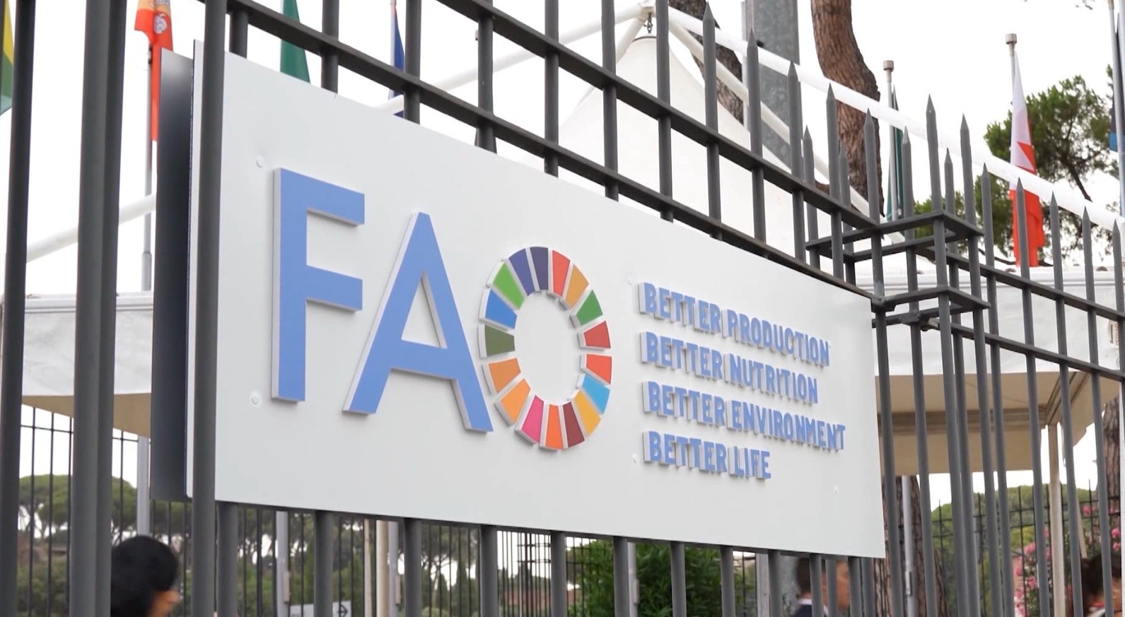 Поскапе храната во светот, објави ФАО
