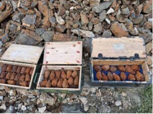 Ангелов: Во Битола, на Тумбе Кафе пронајдени 1.067 неексплодирани убојни средства од Првата Светска војна